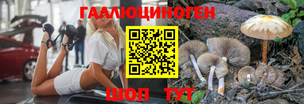 Псилоцибиновые грибы MAGIC MUSHROOMS Ноябрьск